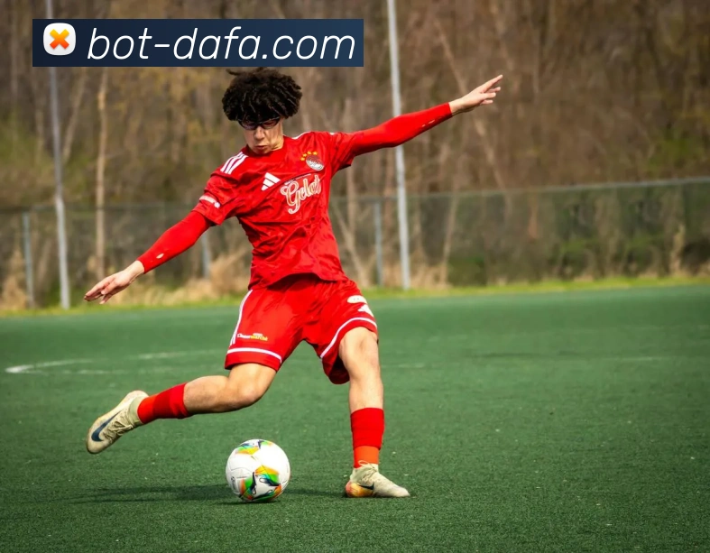 大发彩票平台生态图