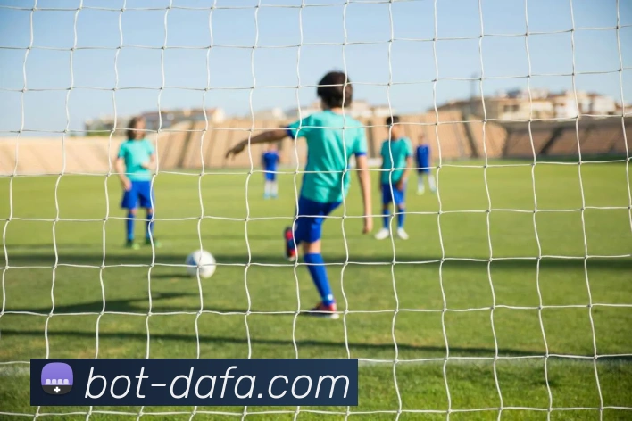 大发彩票全站App